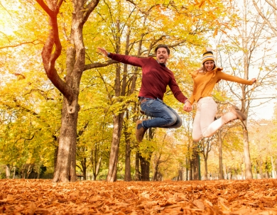 Őszi feltöltődés a Palace-ban