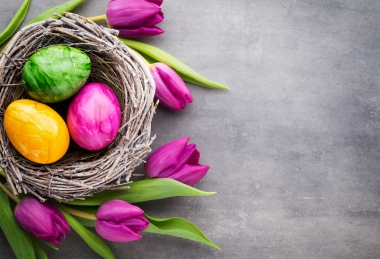 Húsvét és tavaszi szünet a Palace-ban 