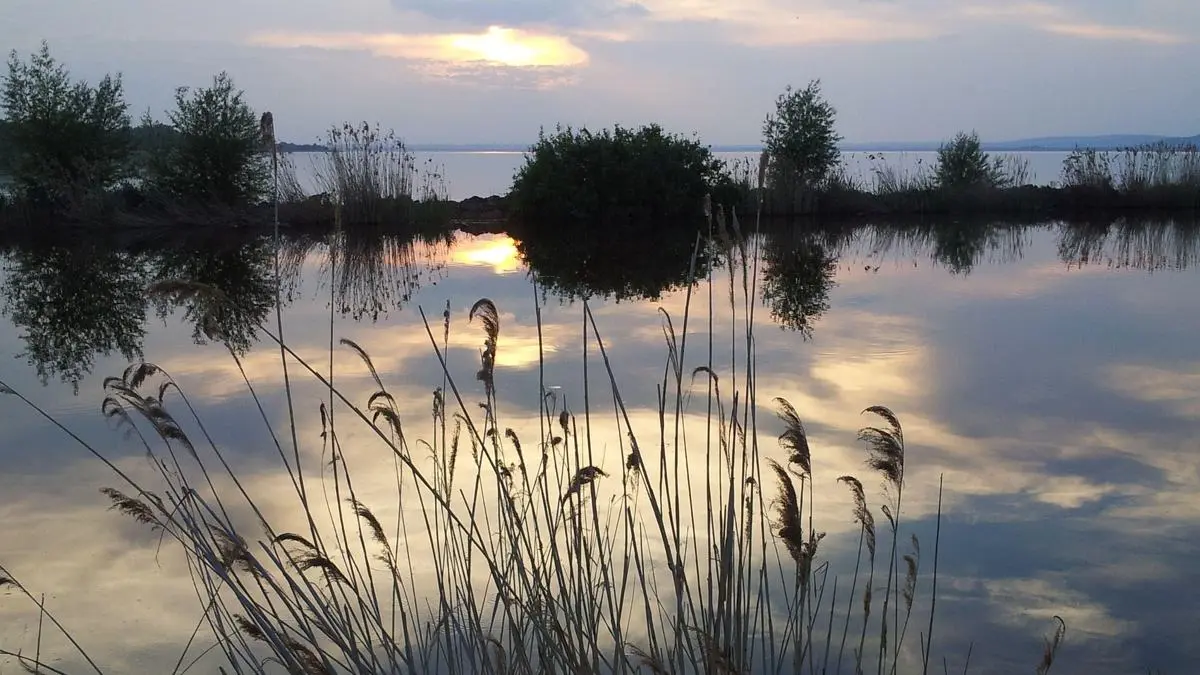 kis-balaton