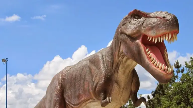 rezi dino