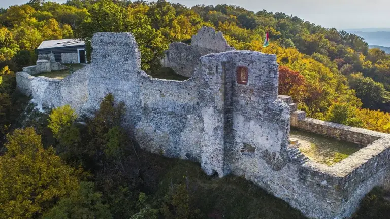 rezi var